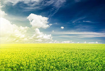 一個完好的網站建設策劃是建網站的首要條件